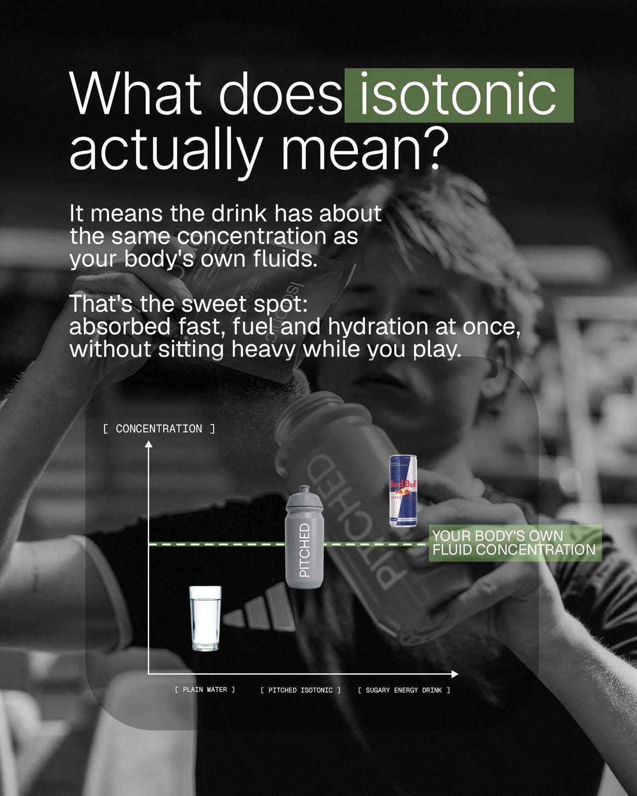 Isotonic drink [10-pack]